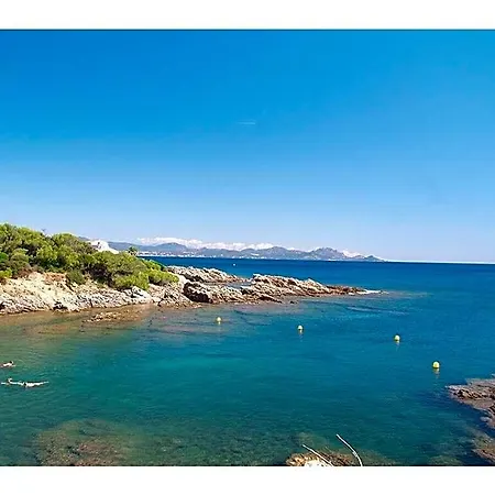 Esterel Comfortable فندق 3*