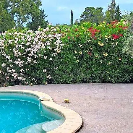 Esterel Comfortable فندق Saint-Raphaël